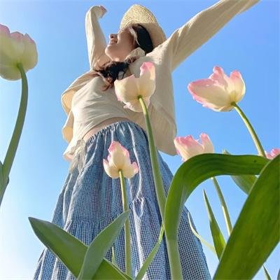 暗芝居第十季